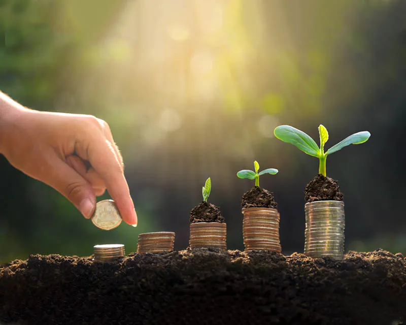 African Initiative for substainable Development
